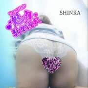 ヒメ日記 2025/11/19 19:33 投稿 しんか 川越ぷよステーション