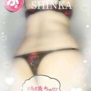 ヒメ日記 2026/02/23 01:43 投稿 しんか 川越ぷよステーション