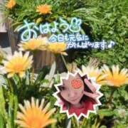 ヒメ日記 2026/05/05 12:23 投稿 しんか 川越ぷよステーション