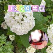 ヒメ日記 2026/06/21 10:13 投稿 しんか 川越ぷよステーション
