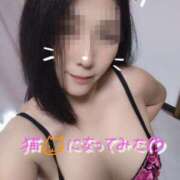 ヒメ日記 2025/09/10 14:36 投稿 みき モアグループ宇都宮人妻花壇