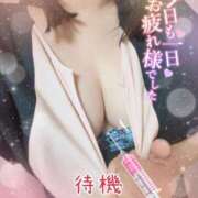 ヒメ日記 2025/07/11 20:23 投稿 しんか ぷよステーション大宮店