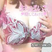 ヒメ日記 2025/07/16 17:33 投稿 しんか ぷよステーション大宮店