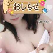 ヒメ日記 2025/07/19 18:43 投稿 しんか ぷよステーション大宮店