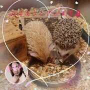 ヒメ日記 2025/07/26 10:05 投稿 しんか ぷよステーション大宮店