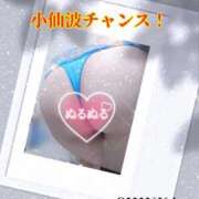 ヒメ日記 2025/11/28 01:23 投稿 しんか ぷよステーション大宮店