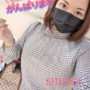 ヒメ日記 2025/11/29 14:03 投稿 しんか ぷよステーション大宮店