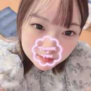 ヒメ日記 2025/10/14 23:49 投稿 小町 ちゃんこ本厚木店