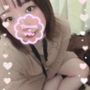 ヒメ日記 2025/12/09 14:48 投稿 小町 ちゃんこ本厚木店