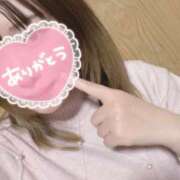 ヒメ日記 2026/03/13 03:32 投稿 小町 ちゃんこ本厚木店