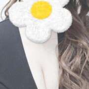 椎名 りお 出勤しました 30代40代50代と遊ぶなら博多人妻専科24時