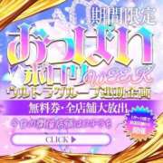 ヒメ日記 2026/01/15 17:21 投稿 星宮りほ（新人割引7/17まで） ウルトラグレイス24