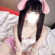 ヒメ日記 2026/02/14 21:00 投稿 星宮りほ（新人割引7/17まで） ウルトラグレイス24