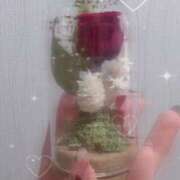 ヒメ日記 2026/02/18 13:41 投稿 もえの ワンダーホール24