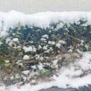 ヒメ日記 2026/02/08 12:42 投稿 ひまり 池袋人妻城