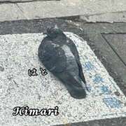 ヒメ日記 2026/03/03 23:36 投稿 ひまり 池袋人妻城