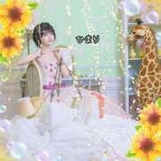 ヒメ日記 2026/06/03 15:33 投稿 ひまり 池袋人妻城