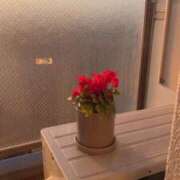 ヒメ日記 2025/07/28 22:18 投稿 ゆずか 横浜シンデレラ（シンデレラグループ）