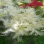 ゆずか 退勤しました? 横浜シンデレラ（シンデレラグループ）