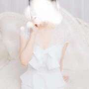 ヒメ日記 2025/10/08 15:06 投稿 すい 三浦屋別館