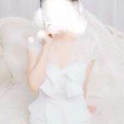 ヒメ日記 2025/11/12 10:56 投稿 すい 三浦屋別館