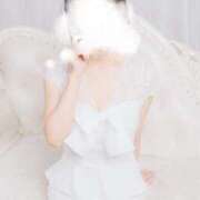 ヒメ日記 2025/11/27 17:26 投稿 すい 三浦屋別館