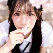 ヒメ日記 2026/04/15 03:08 投稿 会社員どM美女みなもちゃん ロイヤル　アテンダー