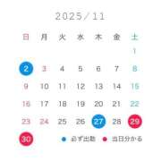 ヒメ日記 2025/11/02 16:23 投稿 るい 府中ダービー