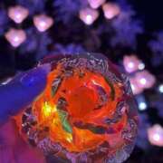 ヒメ日記 2025/07/14 11:02 投稿 らむ 川越ぽちゃまに