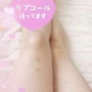 ヒメ日記 2025/09/13 16:22 投稿 らむ 川越ぽちゃまに