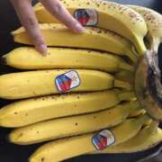 ヒメ日記 2025/10/06 16:02 投稿 らむ 川越ぽちゃまに