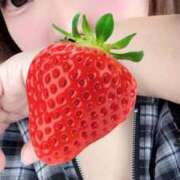 ヒメ日記 2025/11/02 16:52 投稿 らむ 川越ぽちゃまに