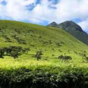 ヒメ日記 2025/08/08 17:26 投稿 柏木あみ★ elumo(エルモ)