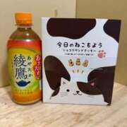 ヒメ日記 2026/01/27 20:53 投稿 しいな ドMバスターズ岡崎・安城・豊田店