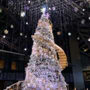 ヒメ日記 2025/12/14 08:36 投稿 ミホ ミセスClub