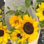 ヒメ日記 2025/07/29 16:39 投稿 ちえ 完熟ばなな川崎