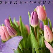 ヒメ日記 2026/01/06 11:00 投稿 ちえ 完熟ばなな川崎