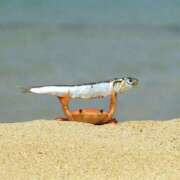 ヒメ日記 2025/07/21 09:03 投稿 ゆか New Sky