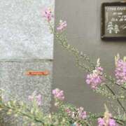 ヒメ日記 2025/07/31 11:42 投稿 ゆか New Sky