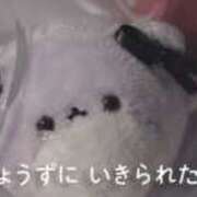 ヒメ日記 2025/08/04 09:27 投稿 ゆか New Sky