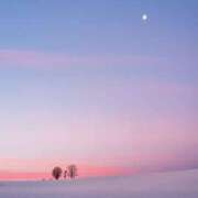 ヒメ日記 2025/08/13 20:52 投稿 ゆか New Sky