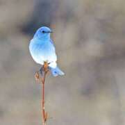 ヒメ日記 2025/08/15 17:54 投稿 ゆか New Sky