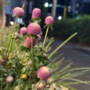 ヒメ日記 2025/08/27 11:42 投稿 ゆか New Sky