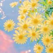 ヒメ日記 2025/10/06 15:20 投稿 ゆか New Sky