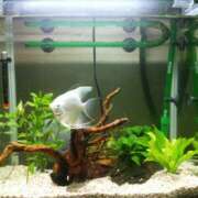 ヒメ日記 2025/09/08 13:46 投稿 ちえ 完熟ばなな 横浜