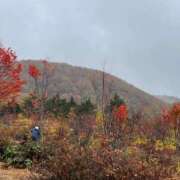 ちえ 完熟ばなな川崎店ちえです♪ 完熟ばなな 横浜