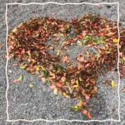 ヒメ日記 2025/12/15 11:30 投稿 ちえ 完熟ばなな 横浜