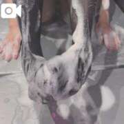 ヒメ日記 2025/10/18 20:50 投稿 まい ワレメ舐められ学院 秋葉原校