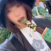 ヒメ日記 2025/11/17 11:50 投稿 まい ワレメ舐められ学院 秋葉原校