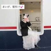 ヒメ日記 2025/11/29 23:50 投稿 まい ワレメ舐められ学院 秋葉原校